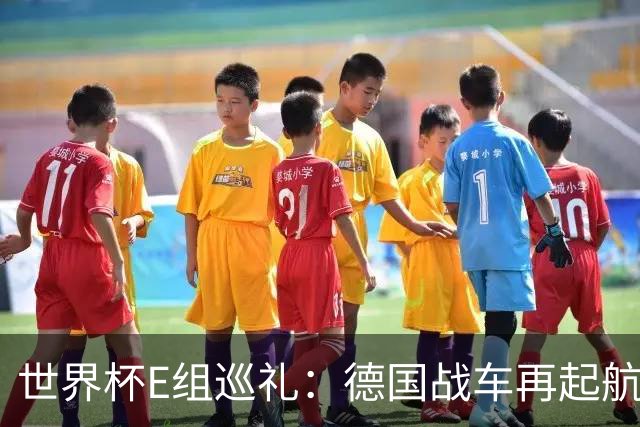 世界杯E组巡礼：德国战车再起航 库拉索“国足版”目标